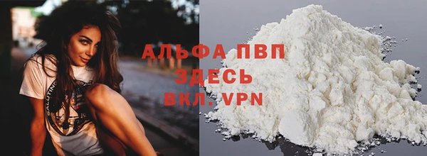 a pvp Белокуриха